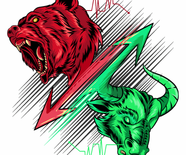 Bull & Bear - Stock Market Clash