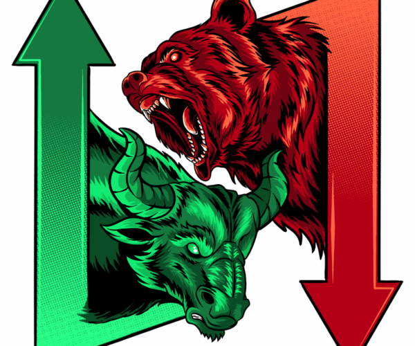 Bull and Bear - Stock Market Battle