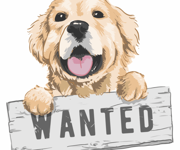 Golden Retriever - Wood Sign Pup