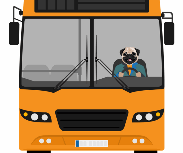 Pug Bus Driver - Vector Illustration