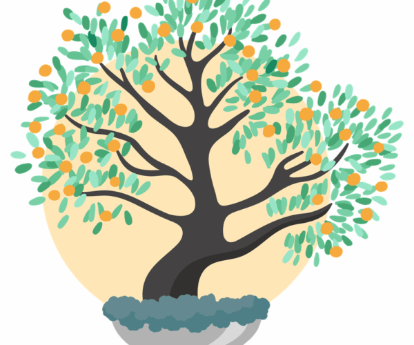 Orange Tree - Potted Illustration