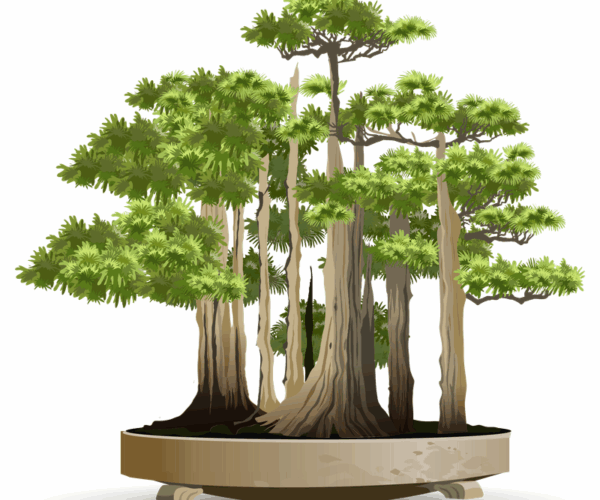Bonsai Forest - Serene Miniature