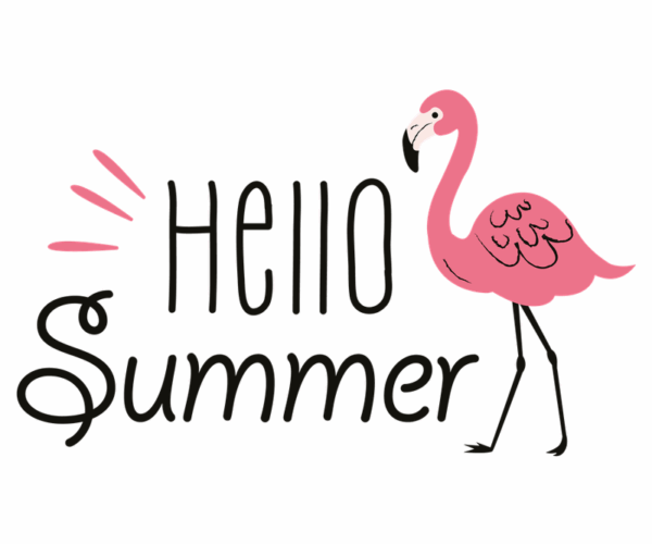 Flamingo Fun - Hello Summer Design
