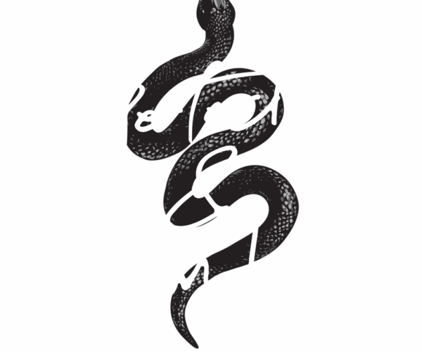 Perfect & Limited - Snake Edition
