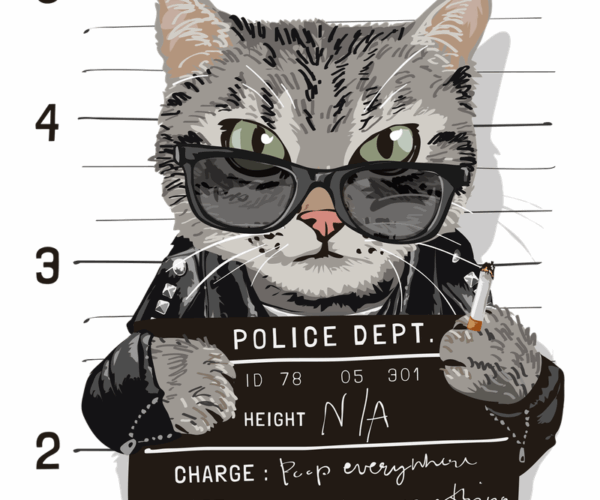 Jail Cat - Bad Behavior