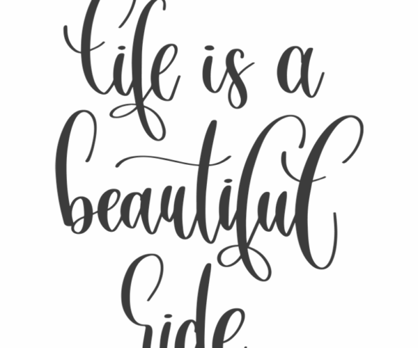 Life's Journey - Motivational Typography