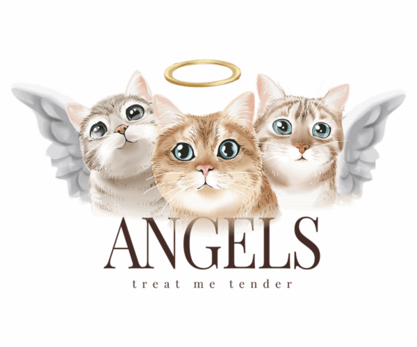 Angel Cats - Tender Trio