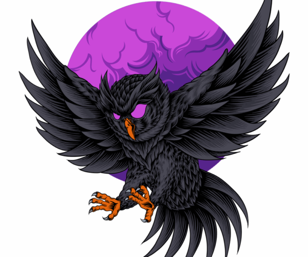 Moonlit Owl - Midnight Hunter