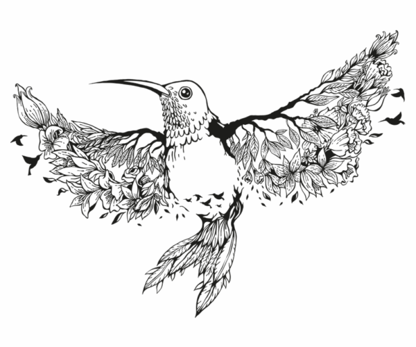 Floral Hummingbird - Nature Wings