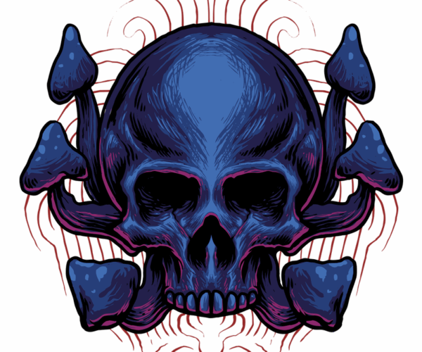 Mystic Skull - Mushroom Dream