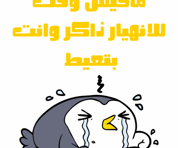 مذاكرة إيه يا عم الحاج؟